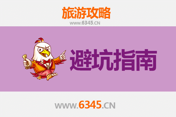 台南新化旅游全攻略：资深博主私房忠告与须知